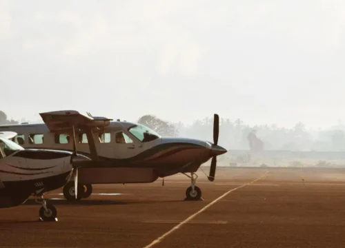 3-Day Luxury Fly-In Fly-Out Safari from Zanzibar | Premium Experience
