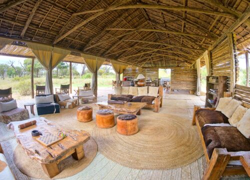 Full Board vs Game Package vs All-Inclusive Safari – Best Option for Your Tanzania Trip