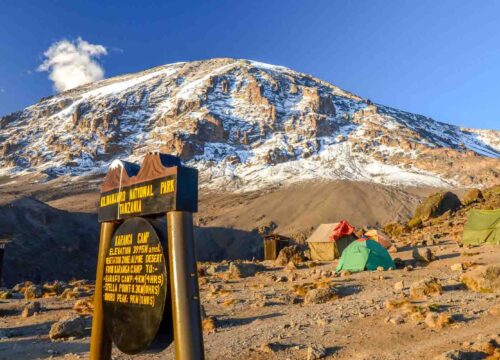 Experiencing a Mt Kilimanjaro Day Hike