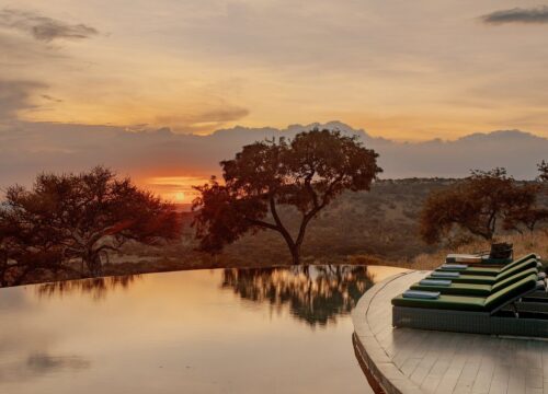 7-Day Private Luxury Safari to Tanzania’s Premier Parks | Exclusive Tour