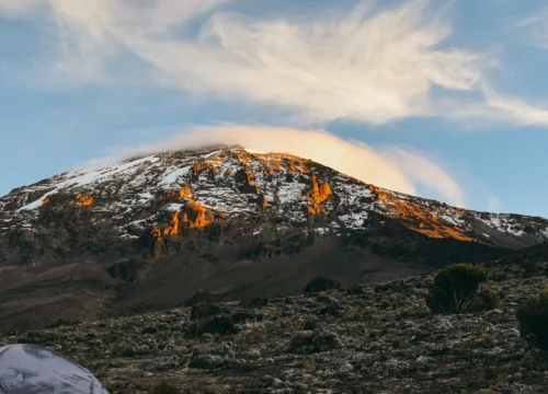 Why Climb Mount Kilimanjaro With Us | Best Guides, Safety & Success Rates