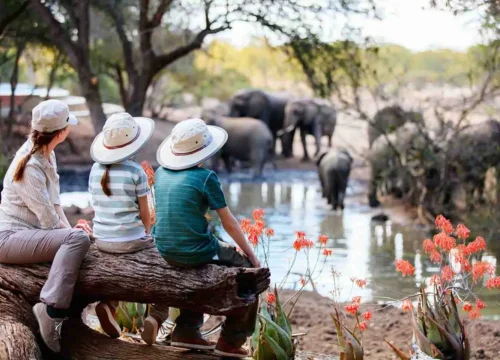 5 Day Comfort Safari Experience