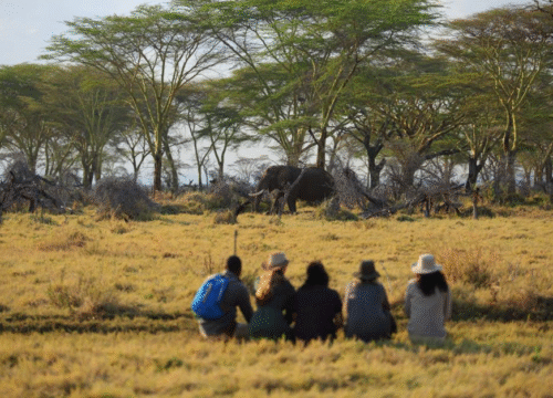 3 Days Tanzania Family Safari | Kid-Friendly Wildlife Adventure