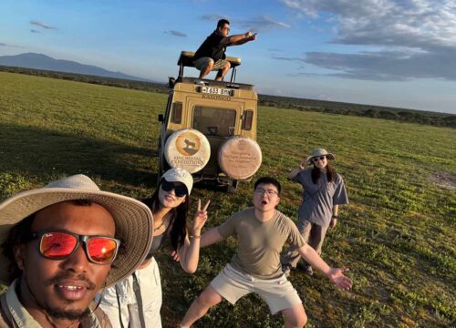 Best Tanzania Safari Companies: Why King Mufasa Expeditions Stands Out